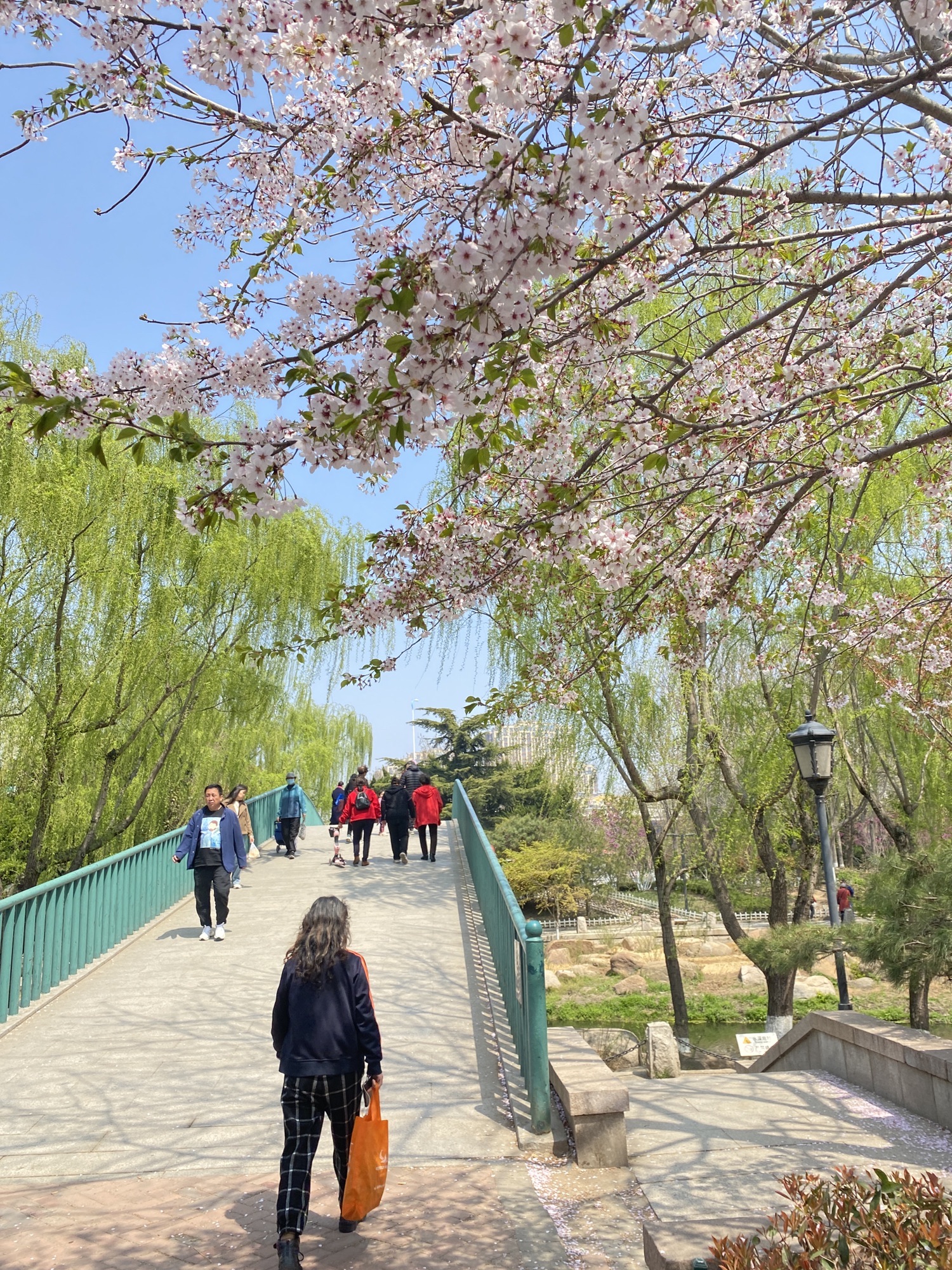 青岛市海泊河公园