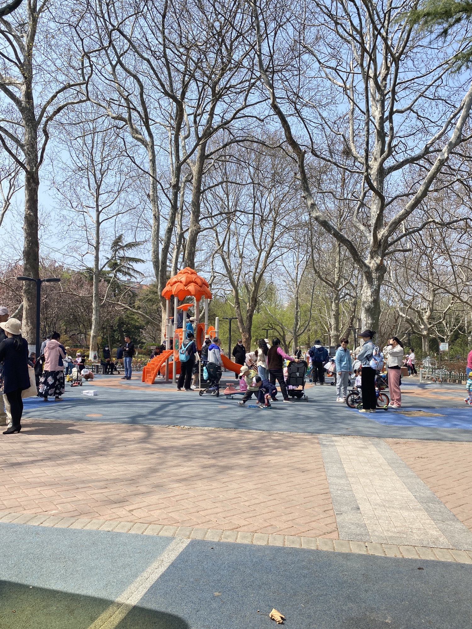 青岛市海泊河公园旅行图片 3