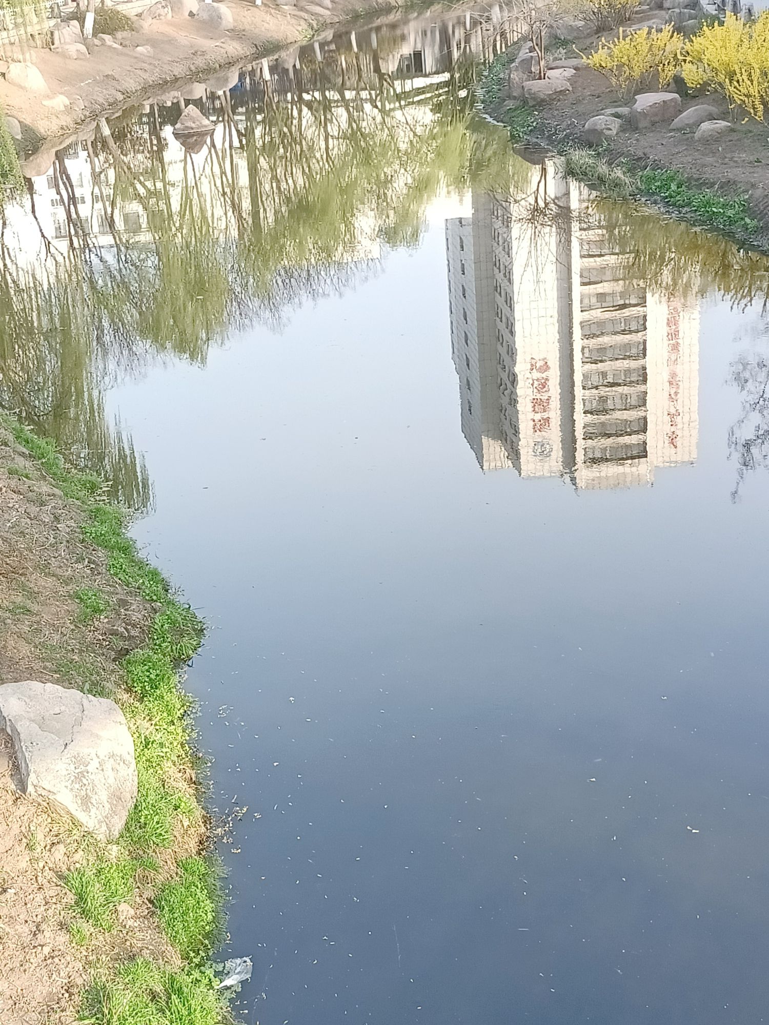 青岛市海泊河公园旅行图片 1