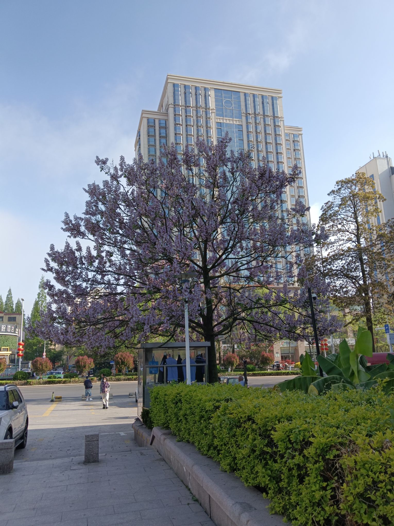 香港花园广场旅行图片 3