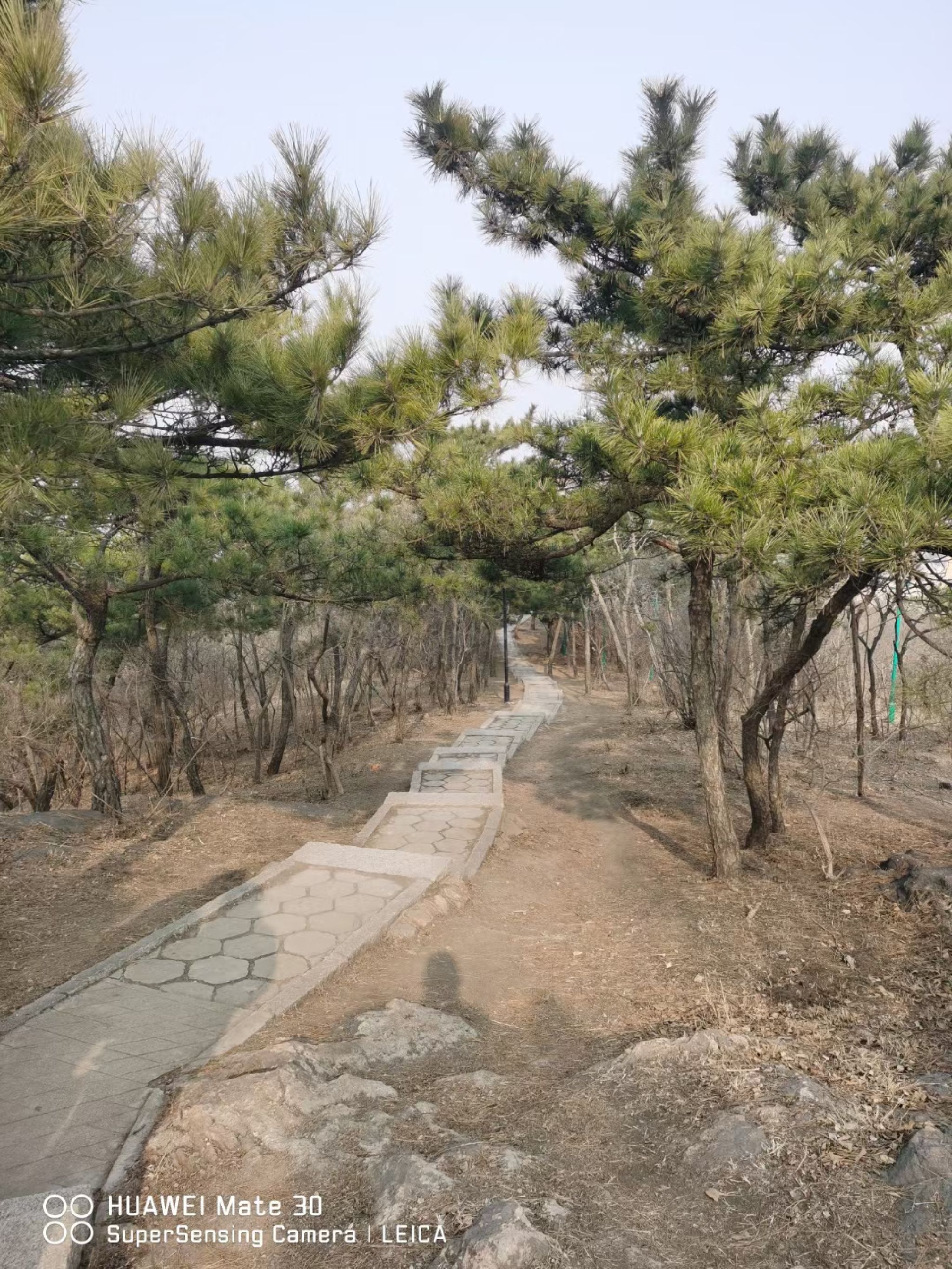 楼山公园旅行图片 2