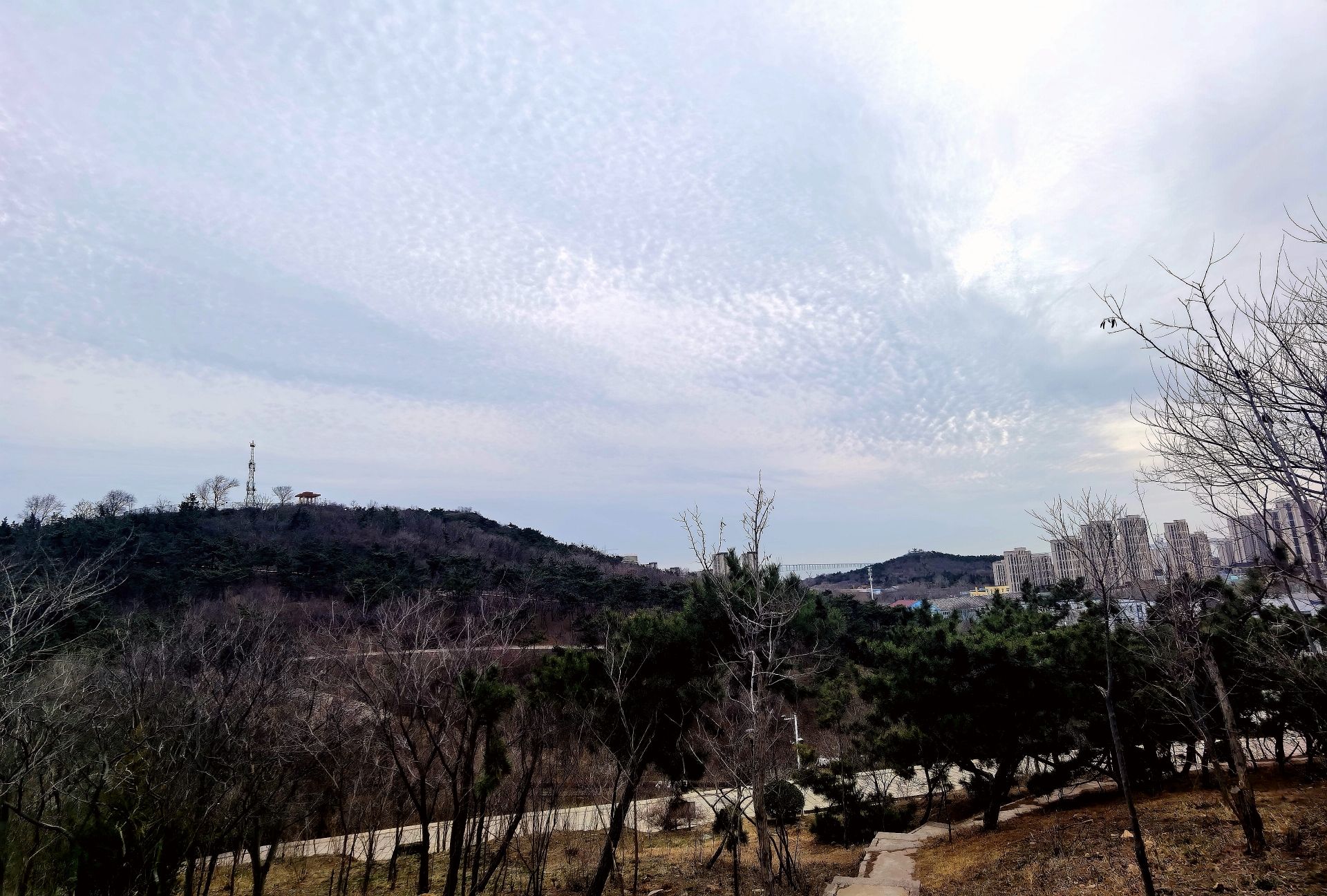 楼山公园旅行图片 3