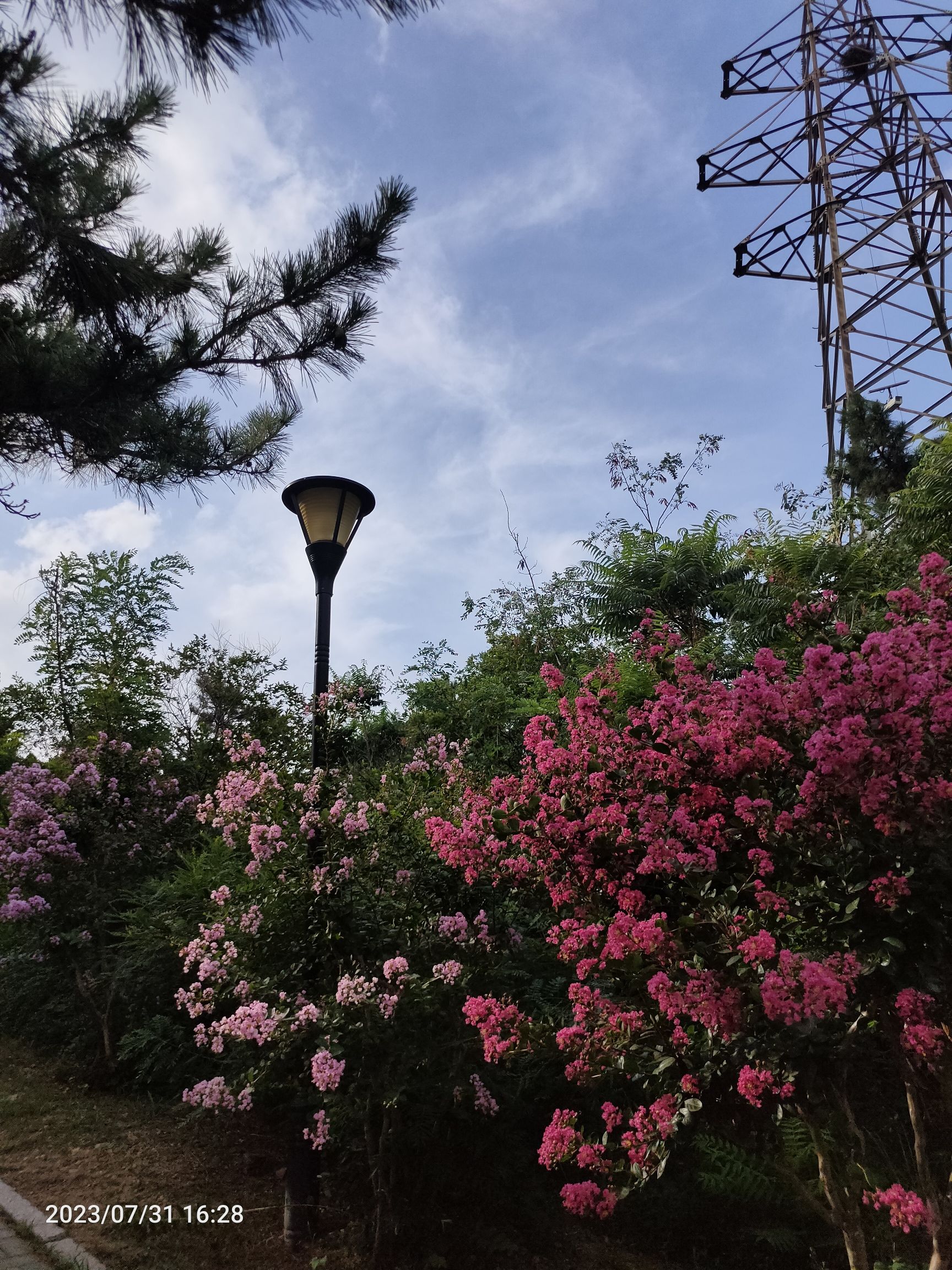 楼山公园旅行图片 3