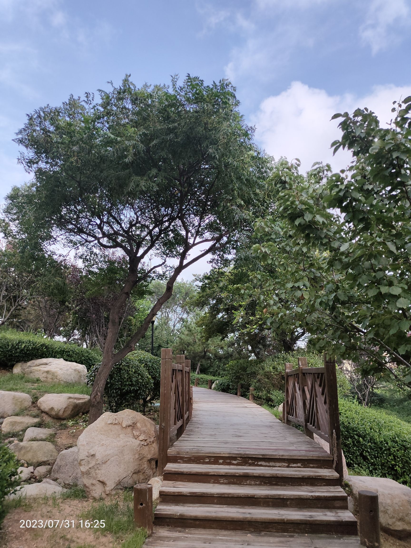楼山公园旅行图片 2