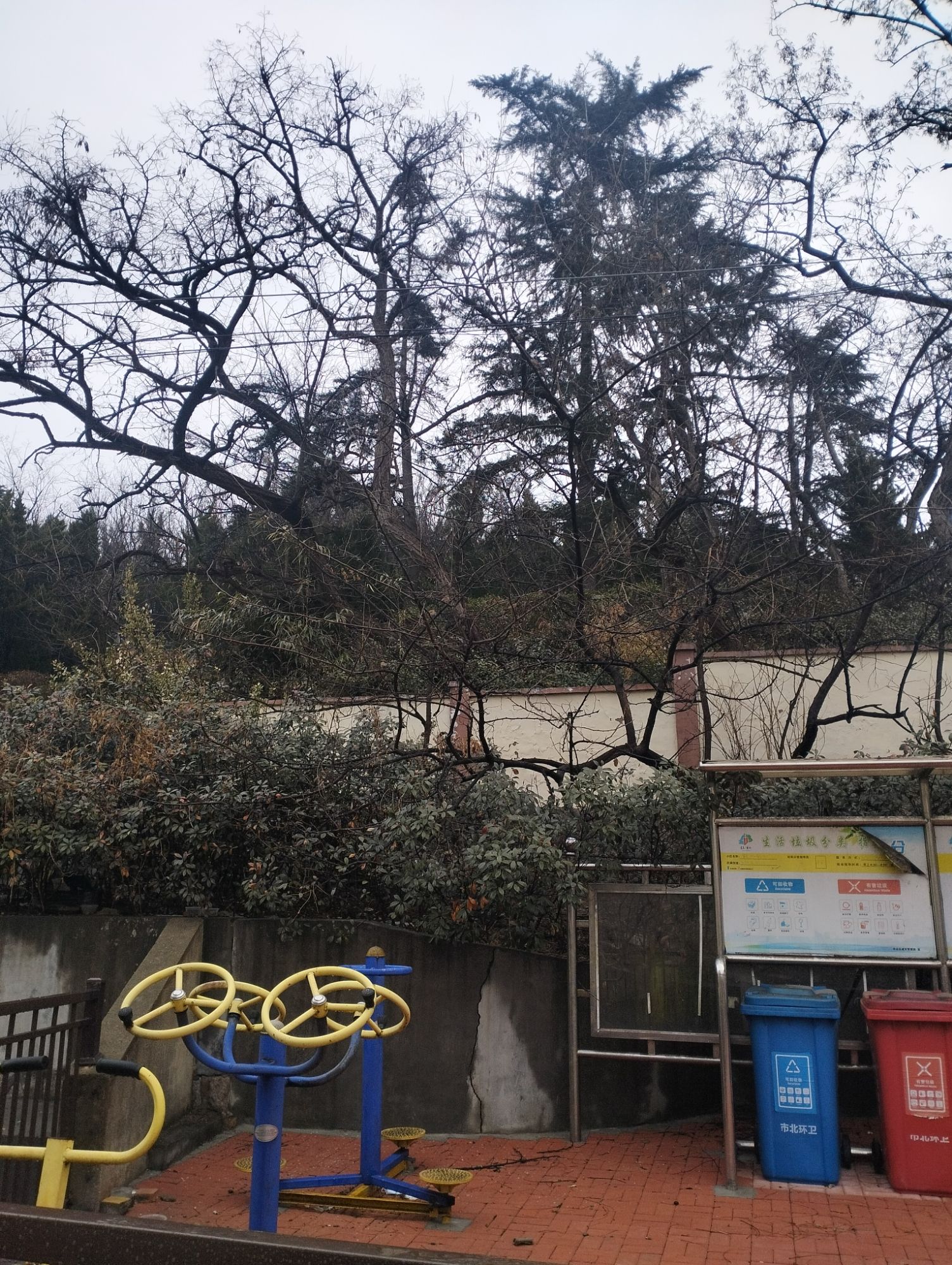 南山公园旅行图片 1