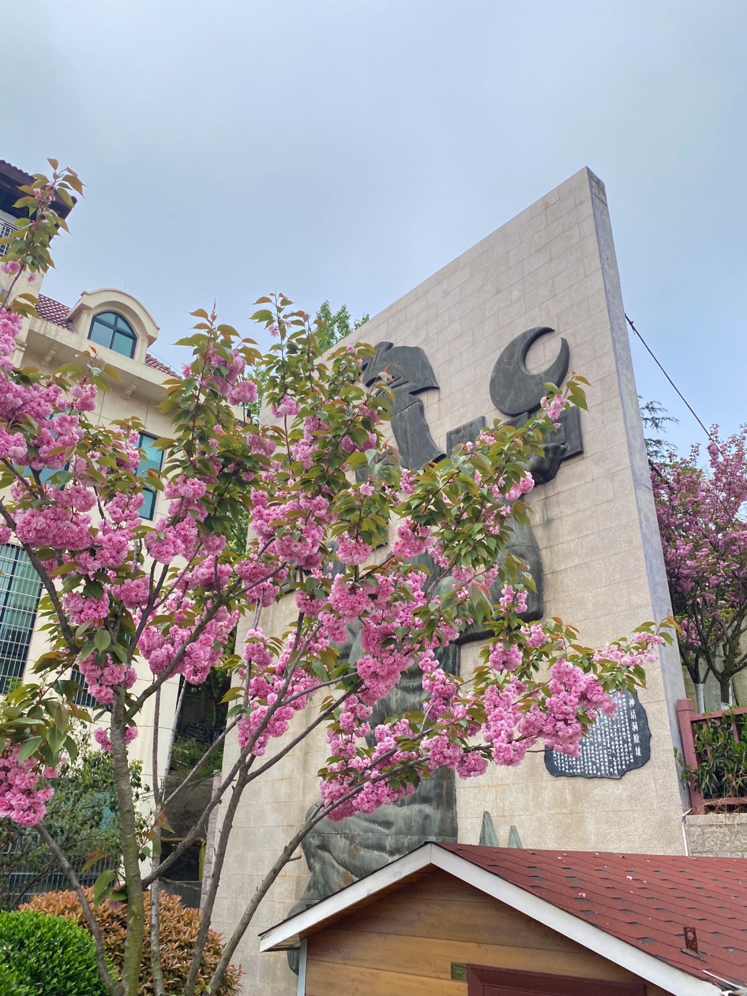 南山公园旅行图片 1