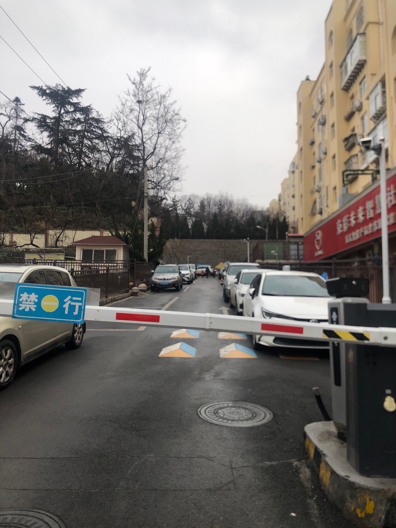 南山公园旅行图片 3