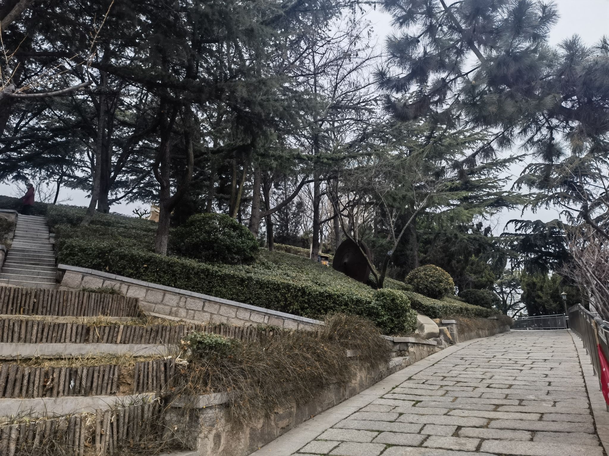南山公园旅行图片 2