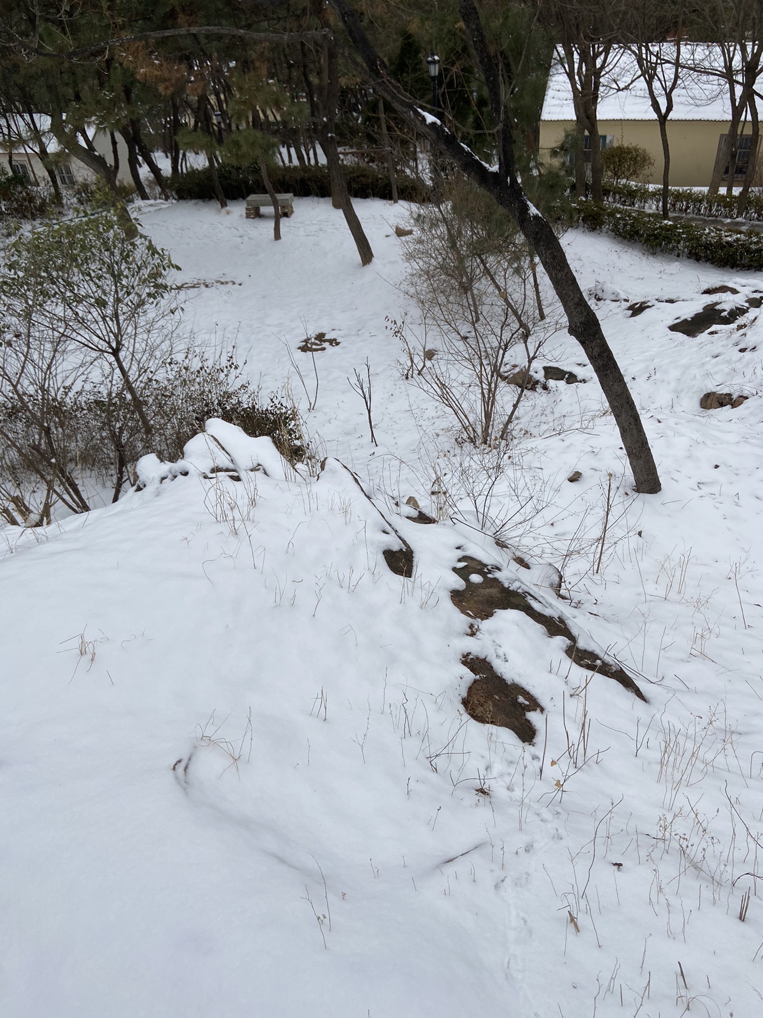 辛家庄北山体育文化公园旅行图片 3