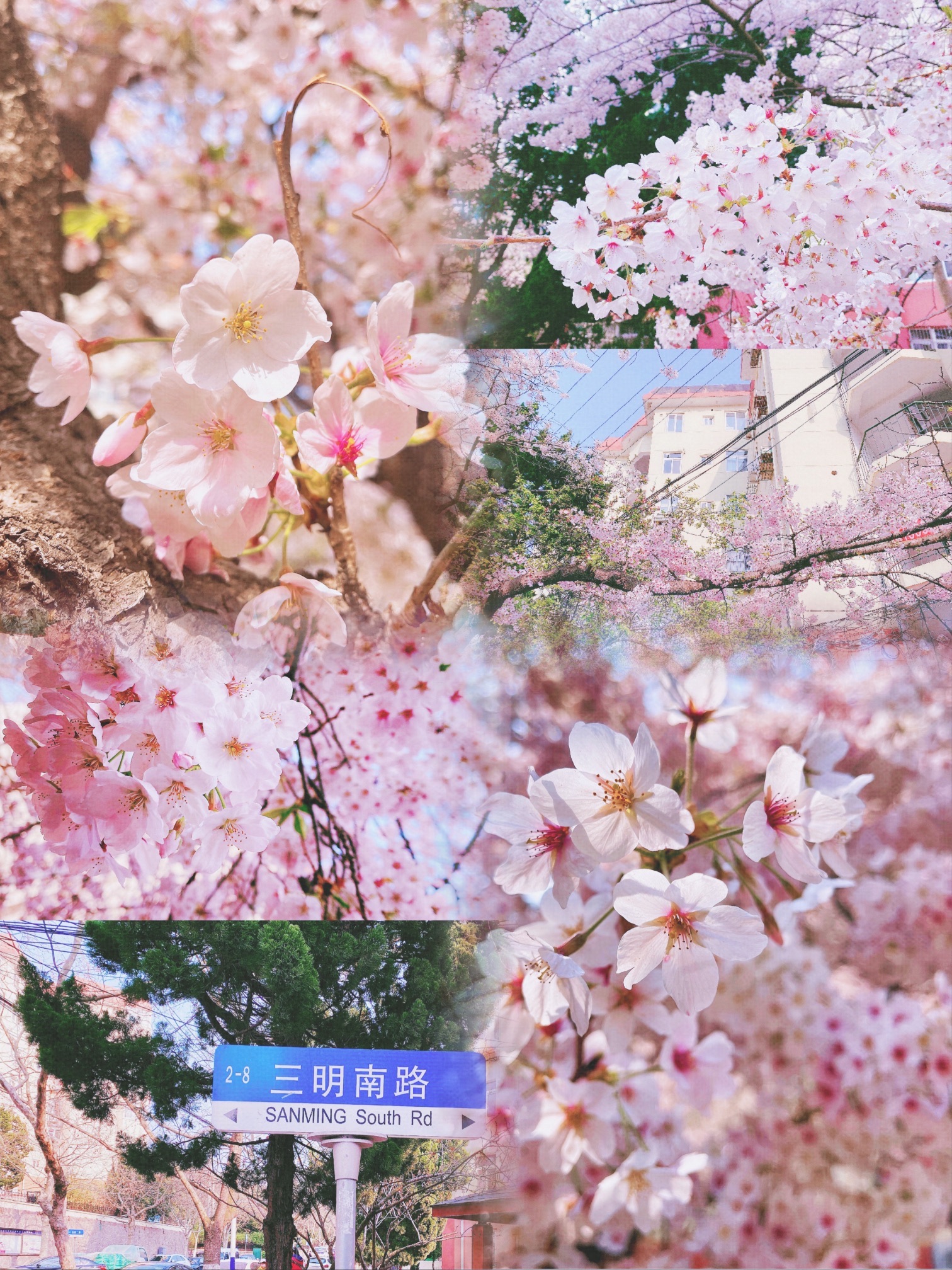 辛家庄北山体育文化公园旅行图片 2