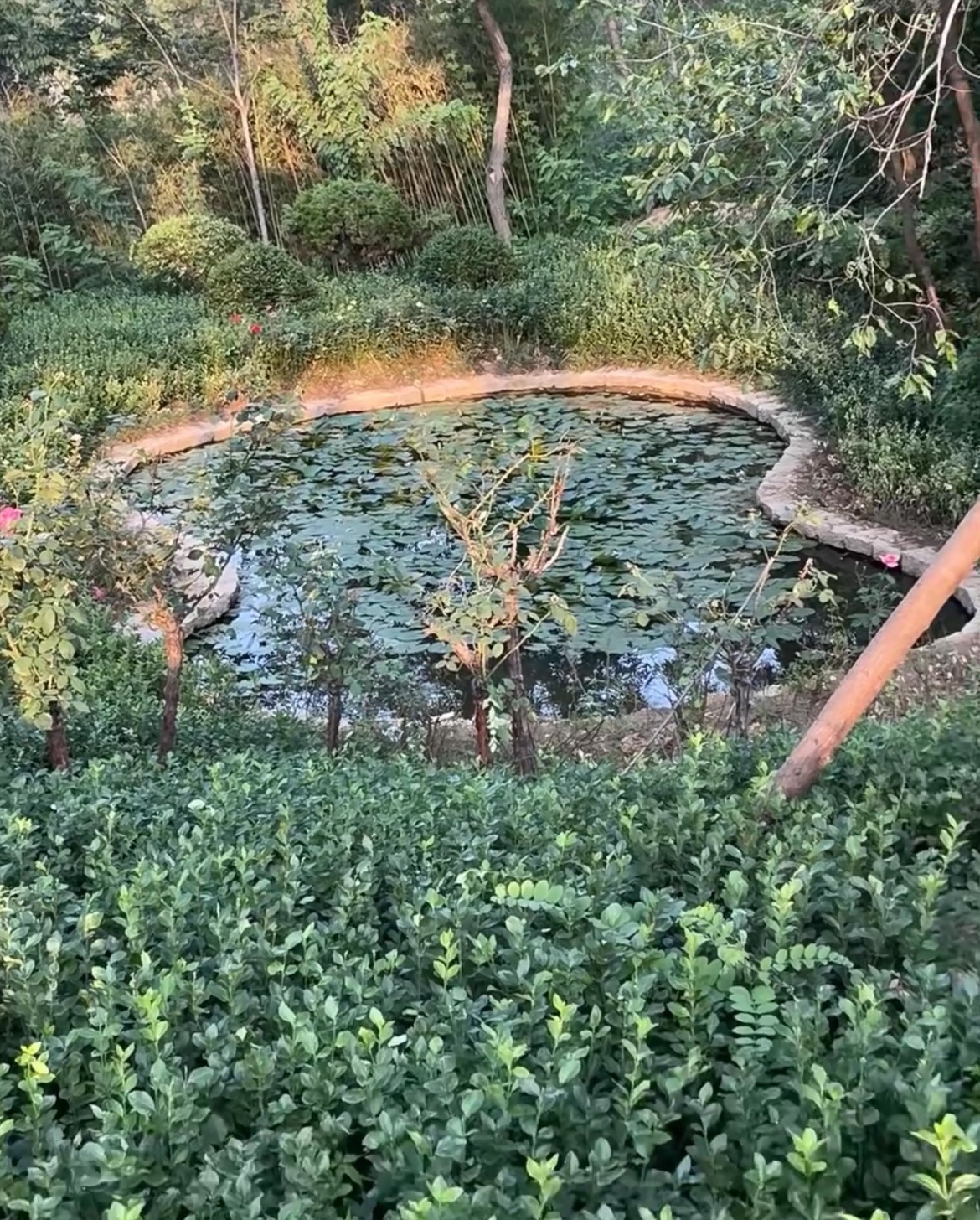 辛家庄北山体育文化公园旅行图片 2