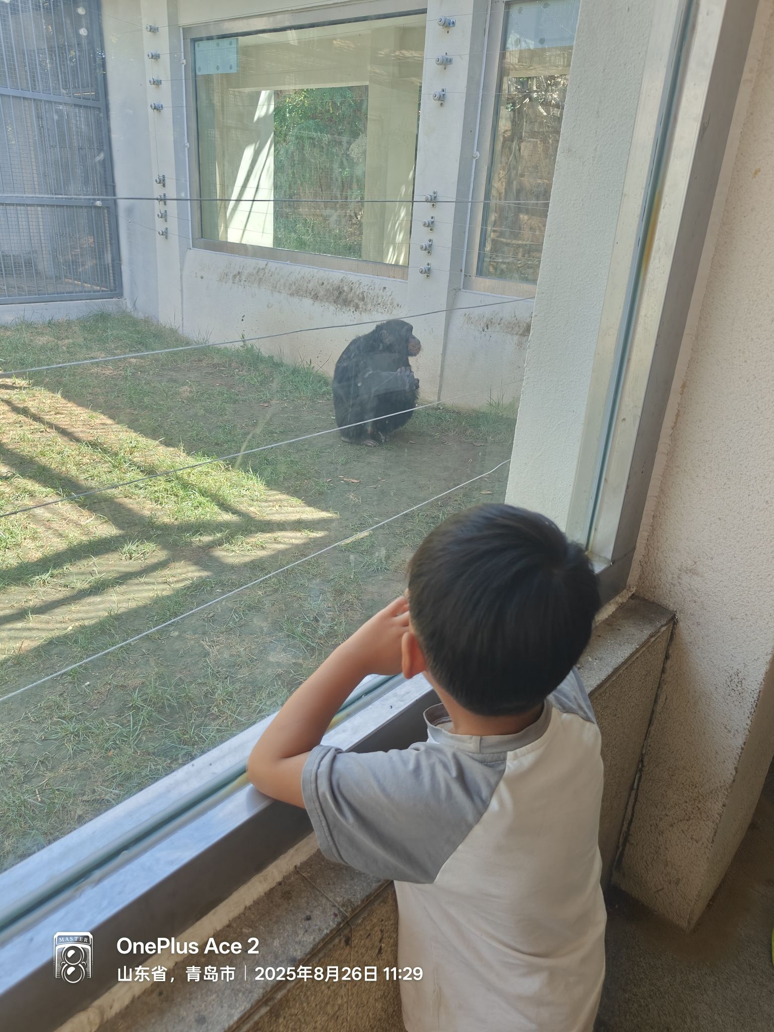 青岛动物园旅行图片 2