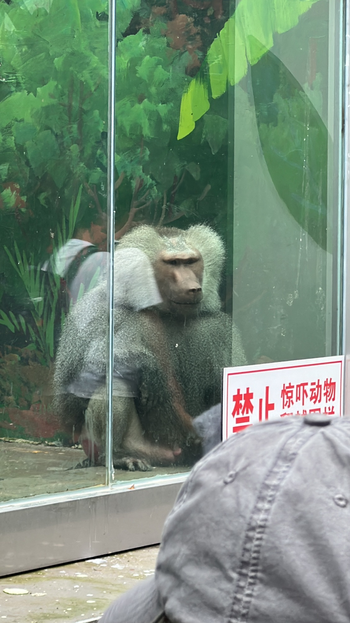 青岛动物园旅行图片 2