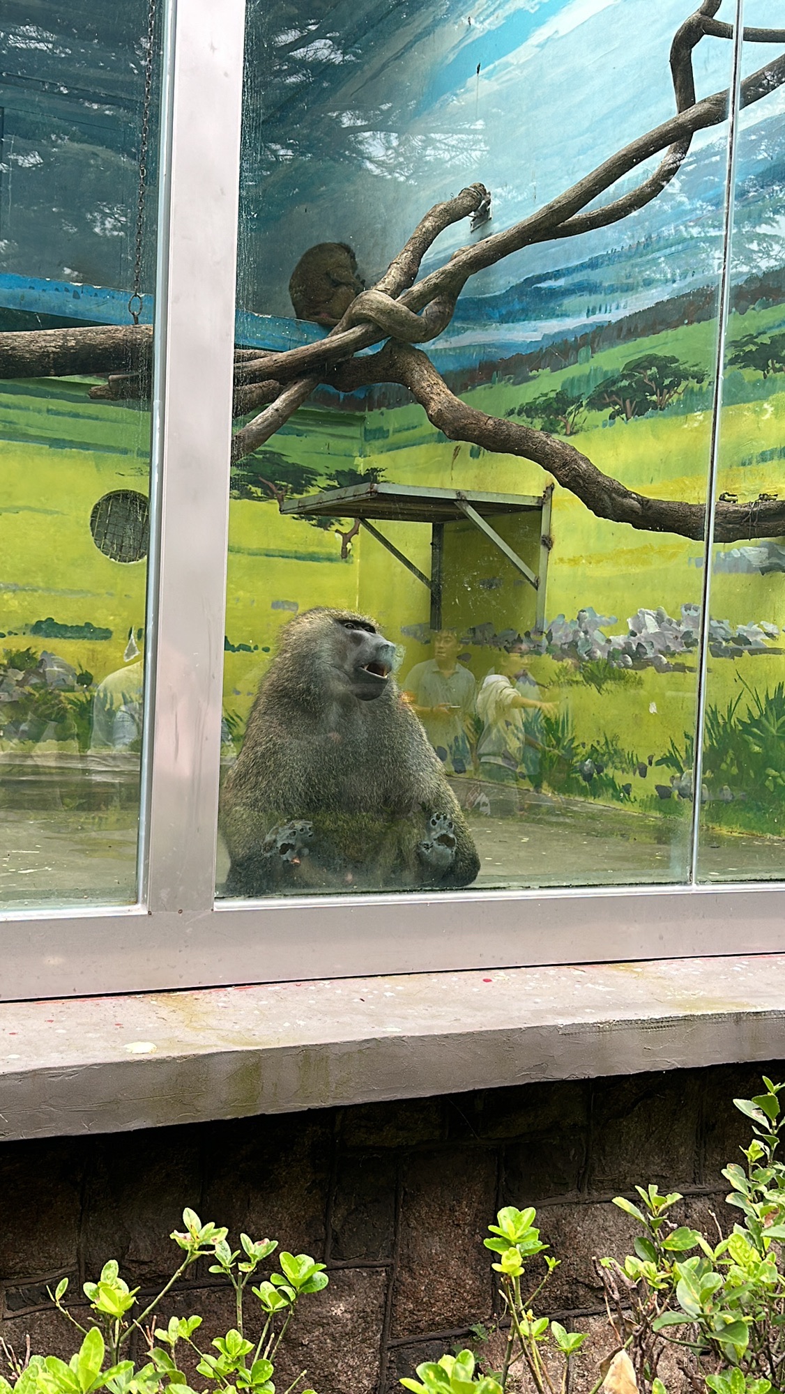 青岛动物园旅行图片 1