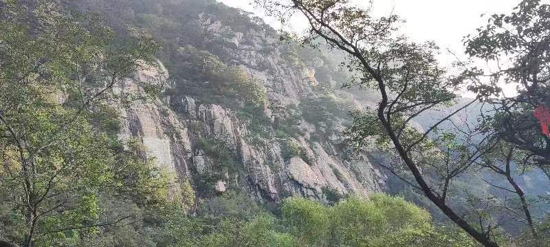 青岛珠山国家森林公园旅行图片 2