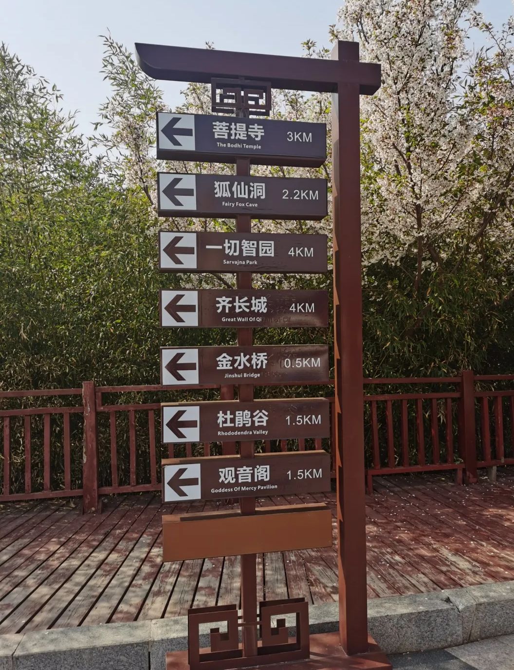 青岛珠山国家森林公园旅行图片
