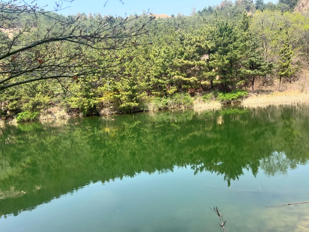 青岛珠山国家森林公园旅行图片 2