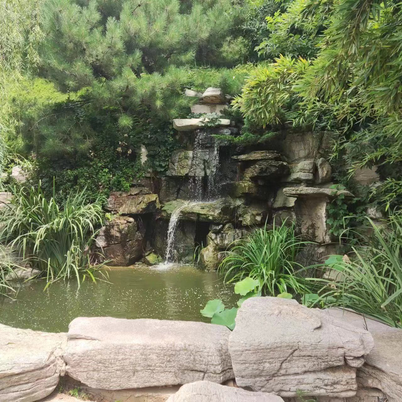 青岛珠山国家森林公园旅行图片 3