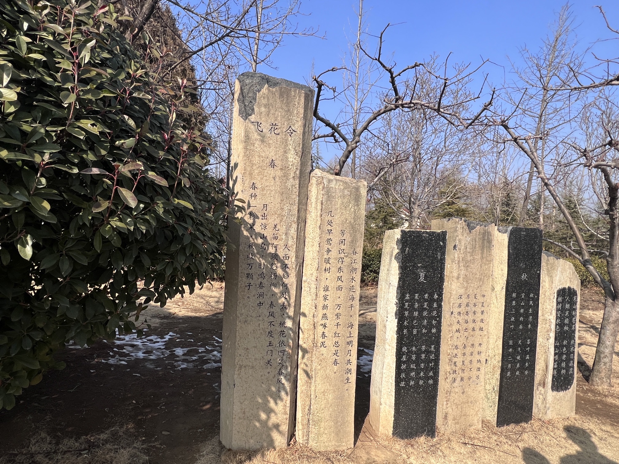 马山公园旅行图片 1