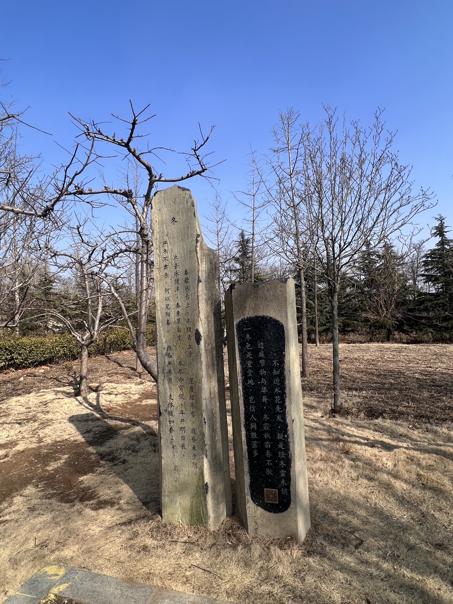 马山公园旅行图片 3