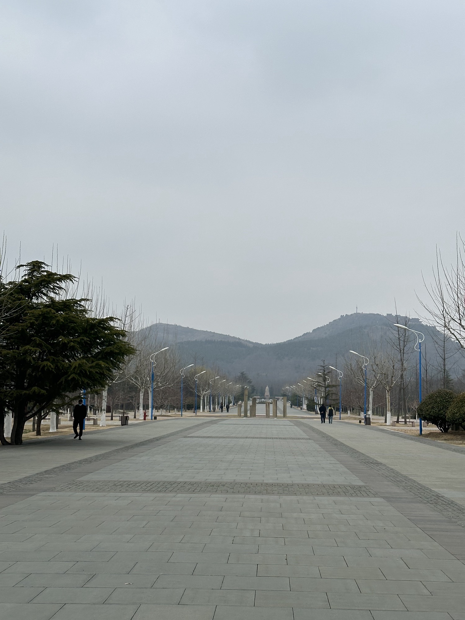 马山公园旅行图片 3