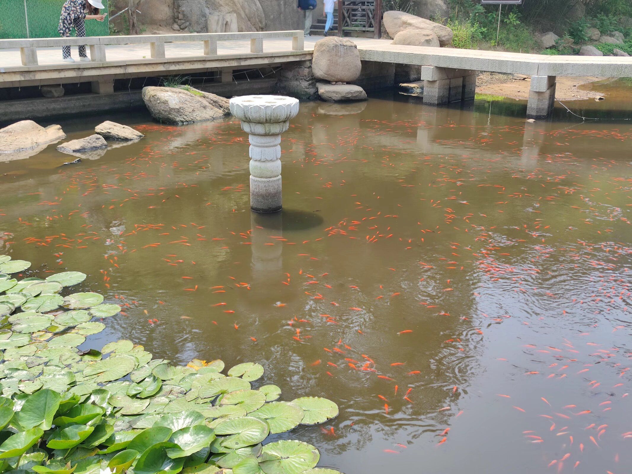 青岛大珠山景区旅行图片 3