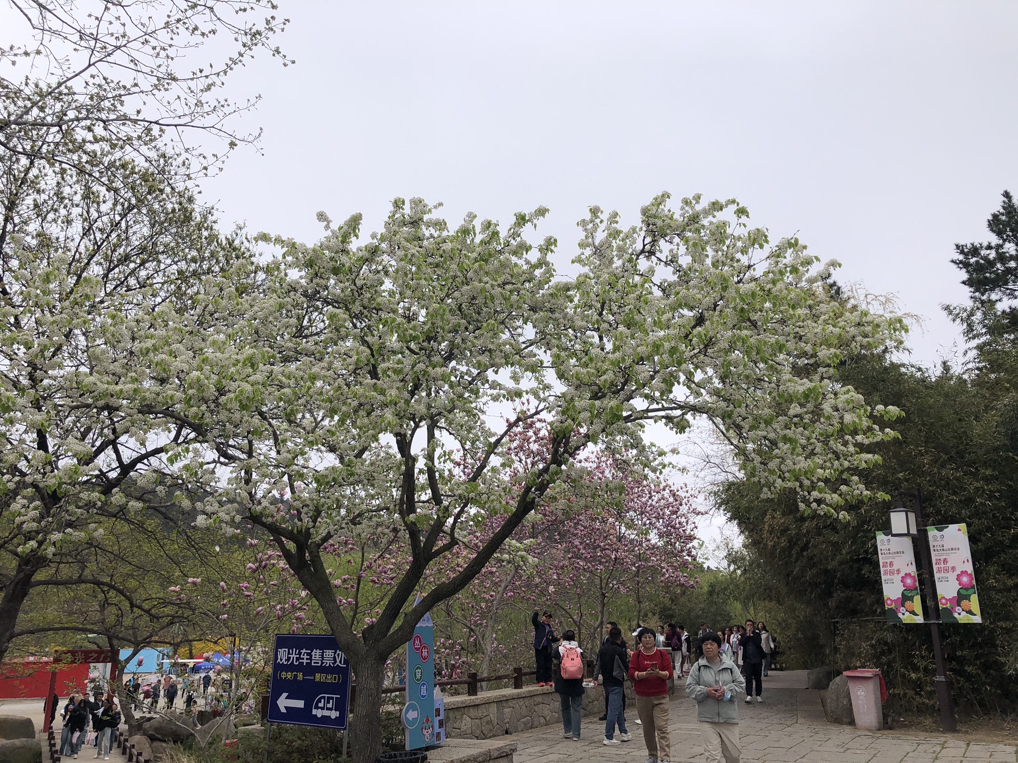 青岛大珠山景区旅行图片 2