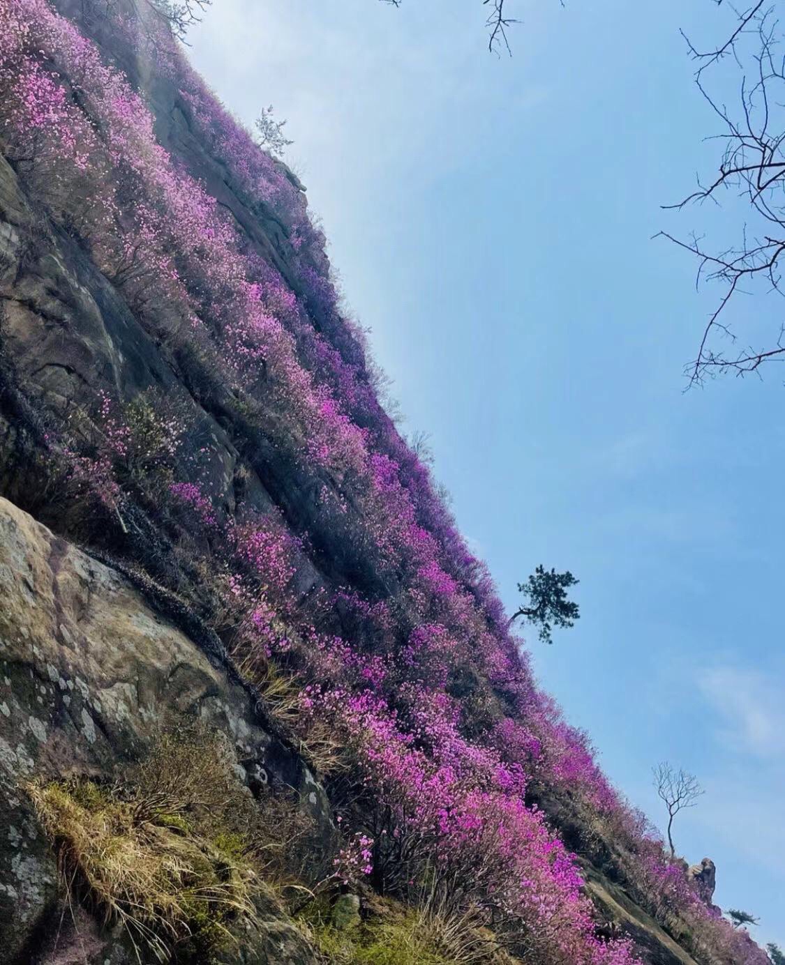 青岛大珠山景区旅行图片 3