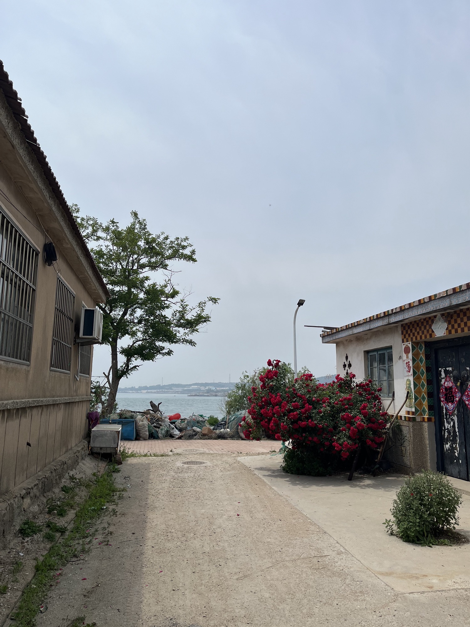 斋堂岛旅行图片 2