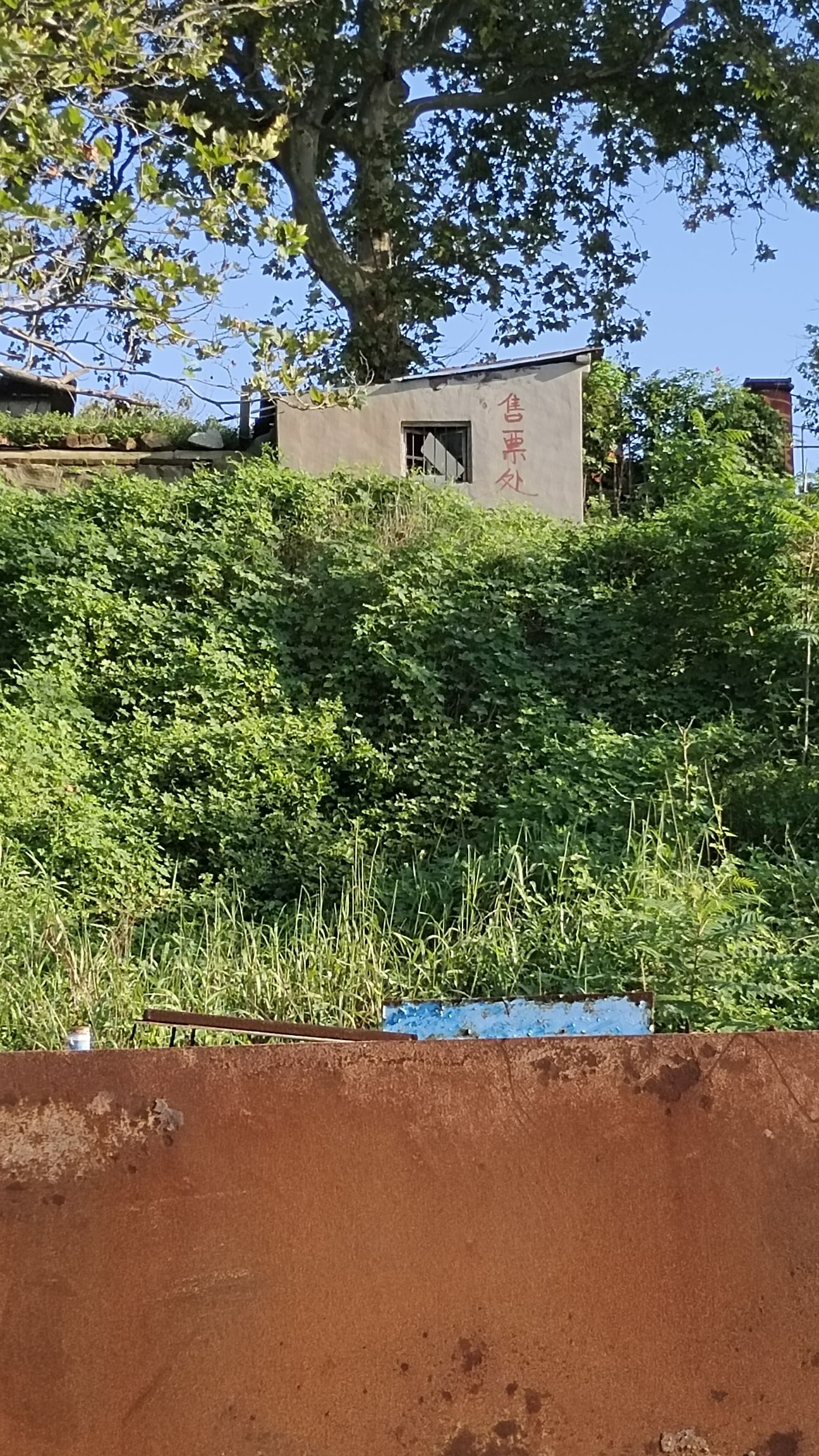 斋堂岛旅行图片 2