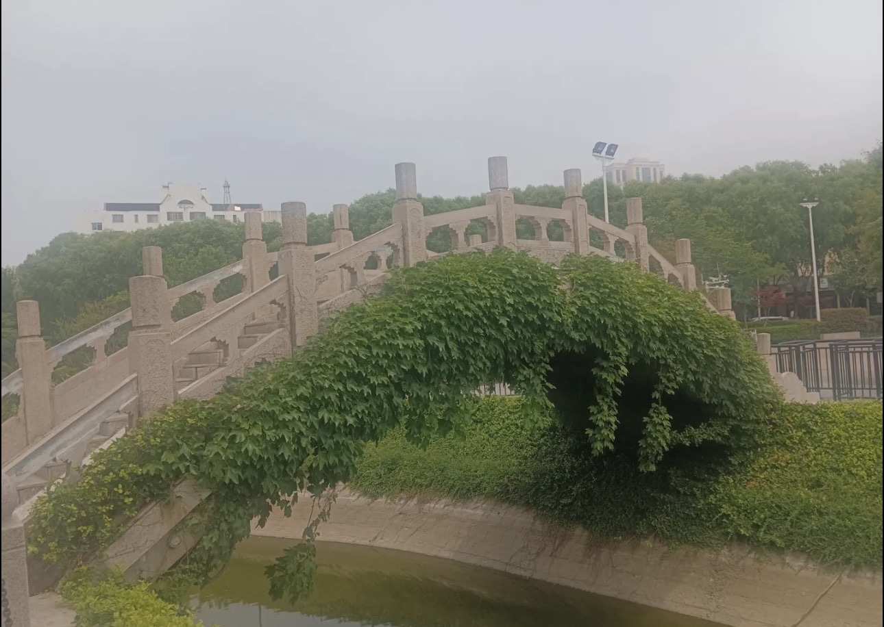 马濠公园旅行图片 3