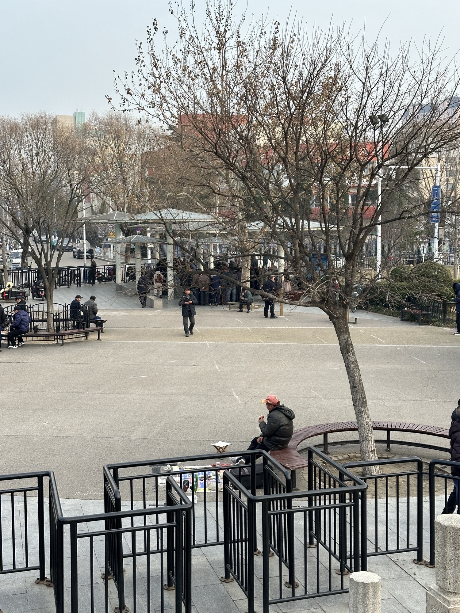 马濠公园旅行图片 2