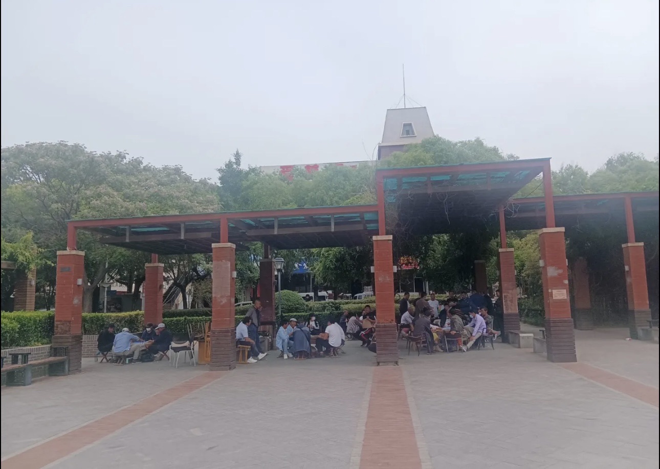 马濠公园旅行图片 2