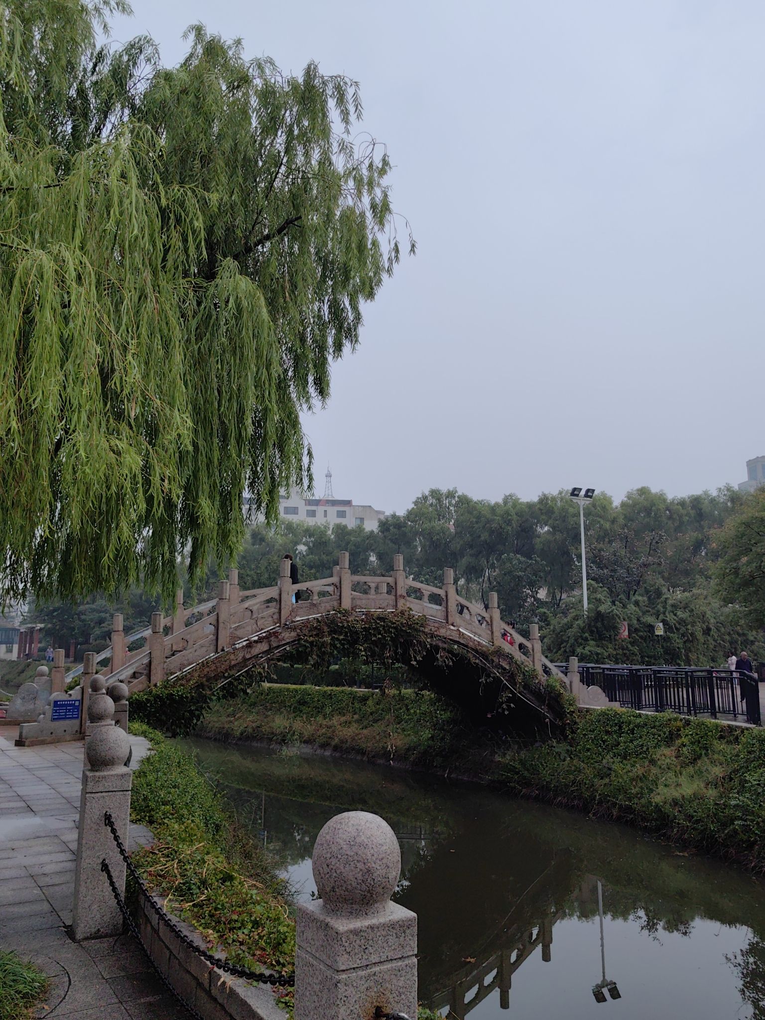 马濠公园旅行图片 1