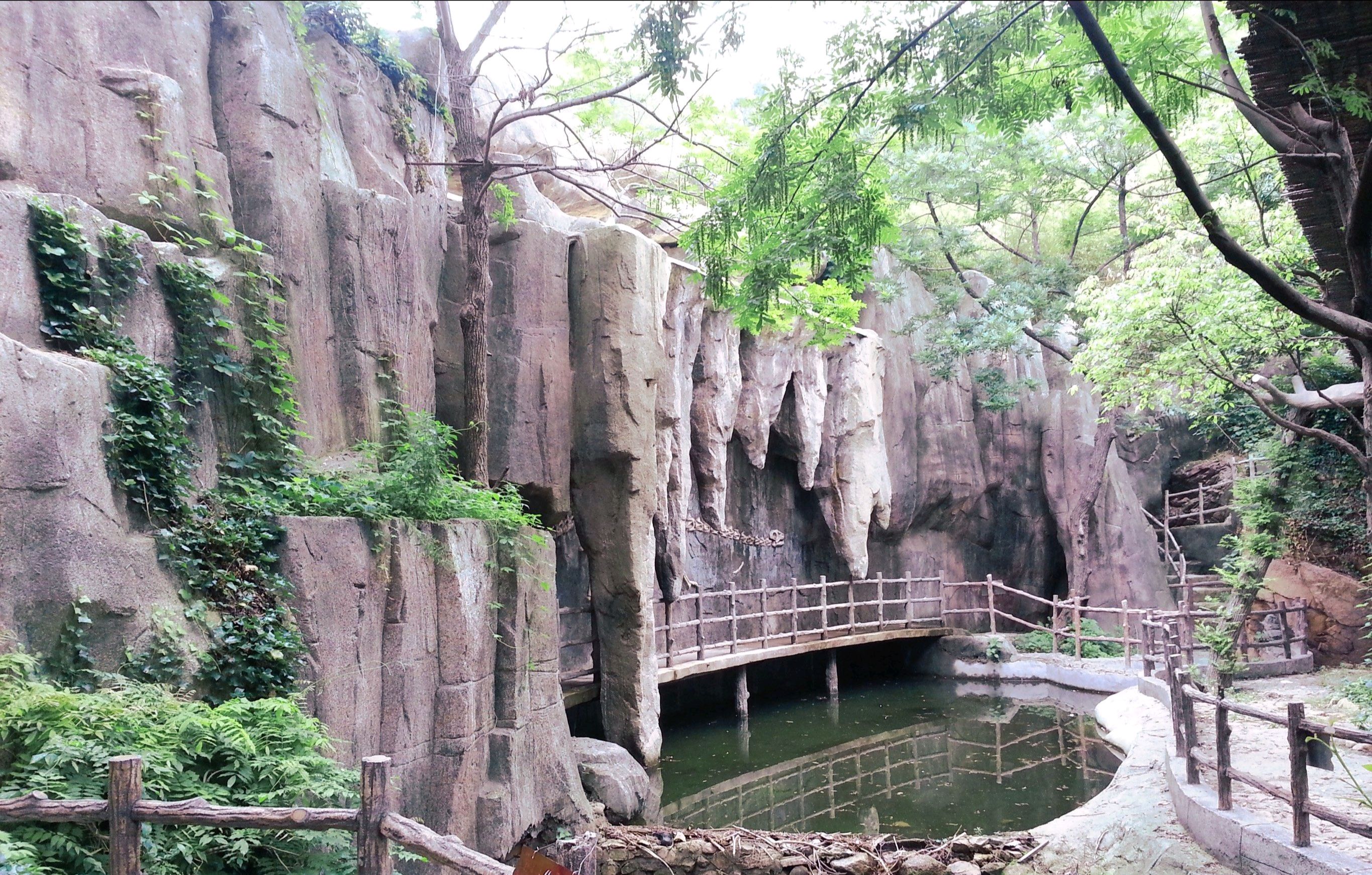 百雀林观光园旅行图片 3
