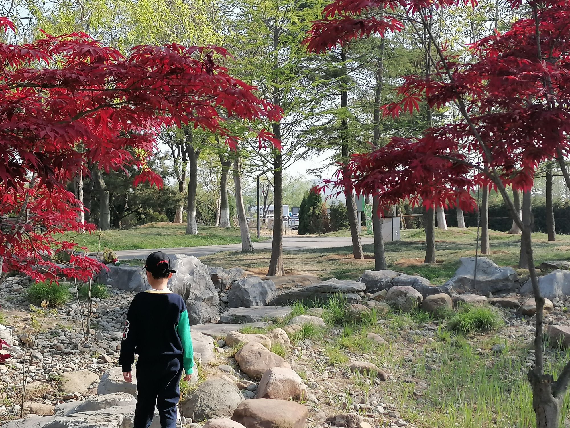 唐岛湾景区旅行图片 2