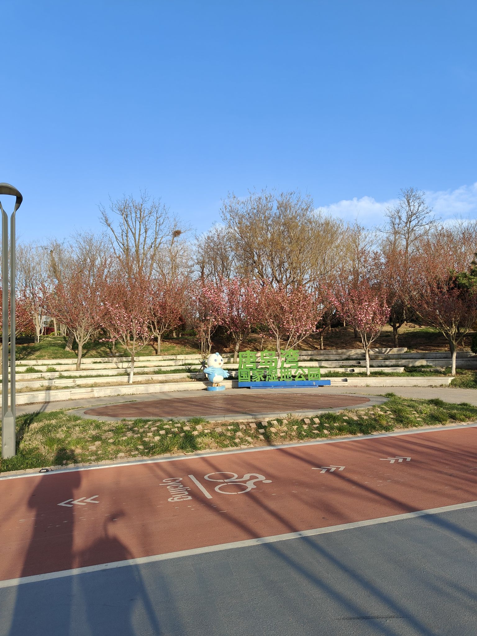 唐岛湾景区旅行图片 3