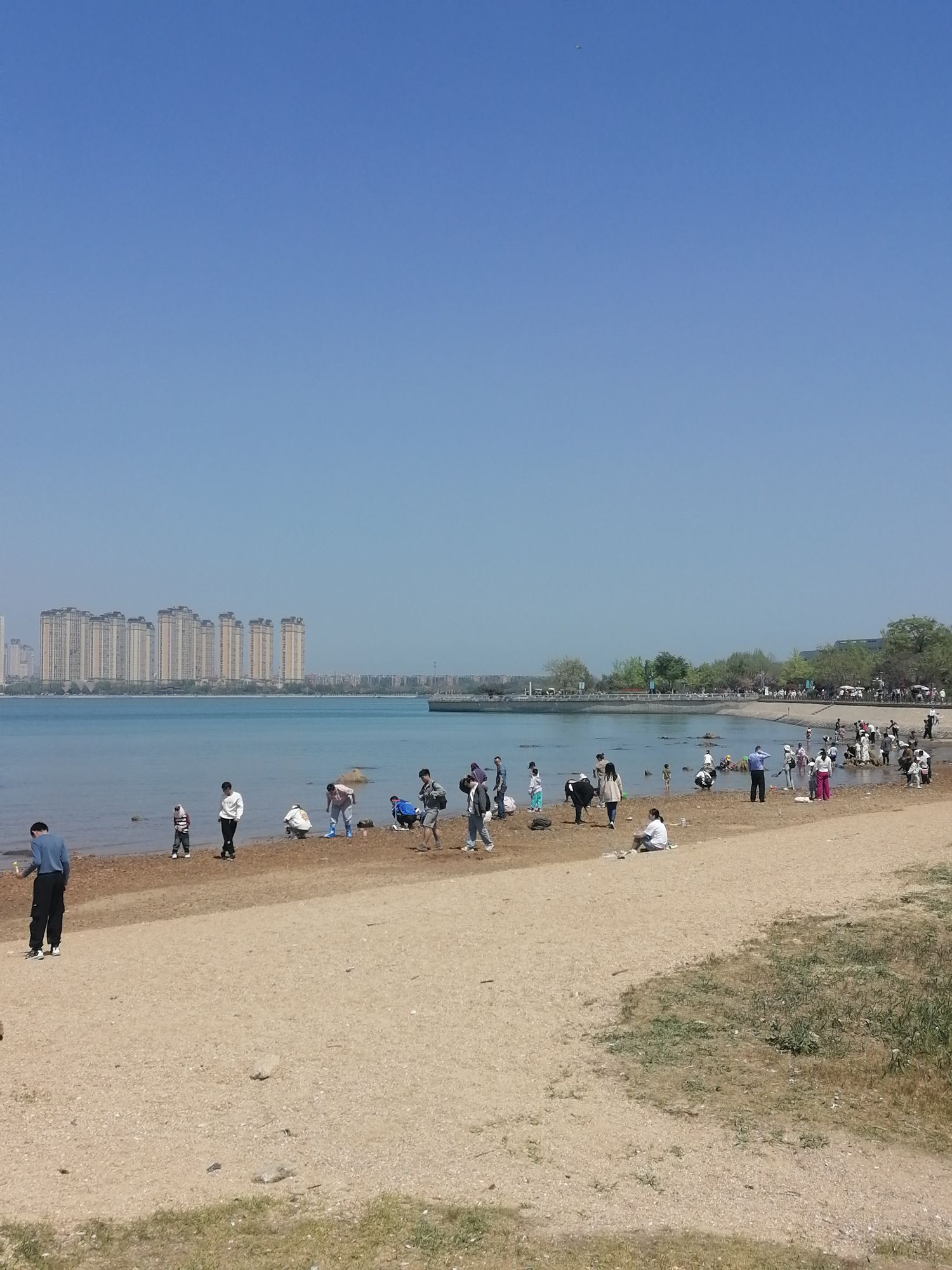 唐岛湾景区旅行图片 3