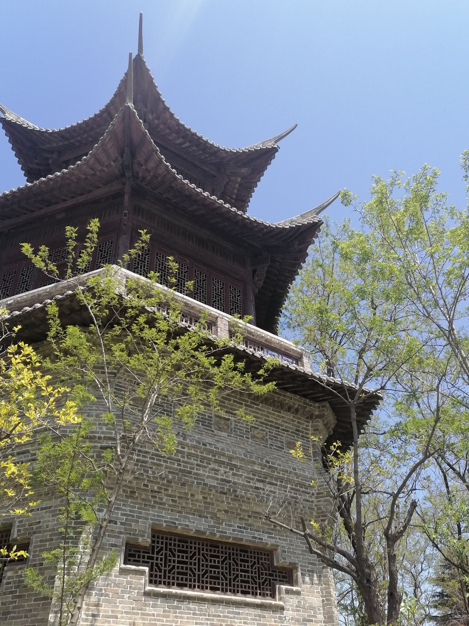 唐岛湾景区旅行图片