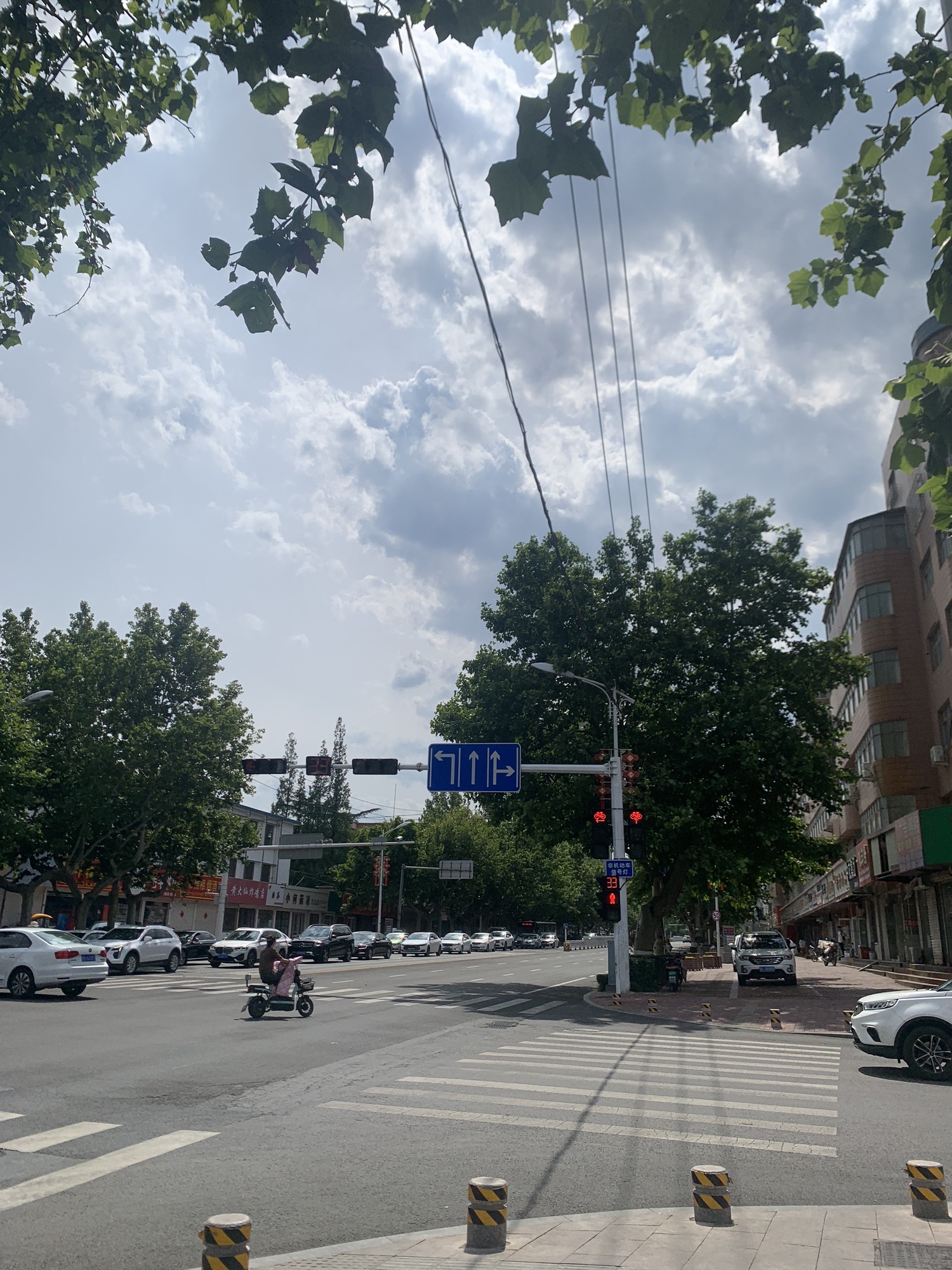 龙泉河公园旅行图片 1
