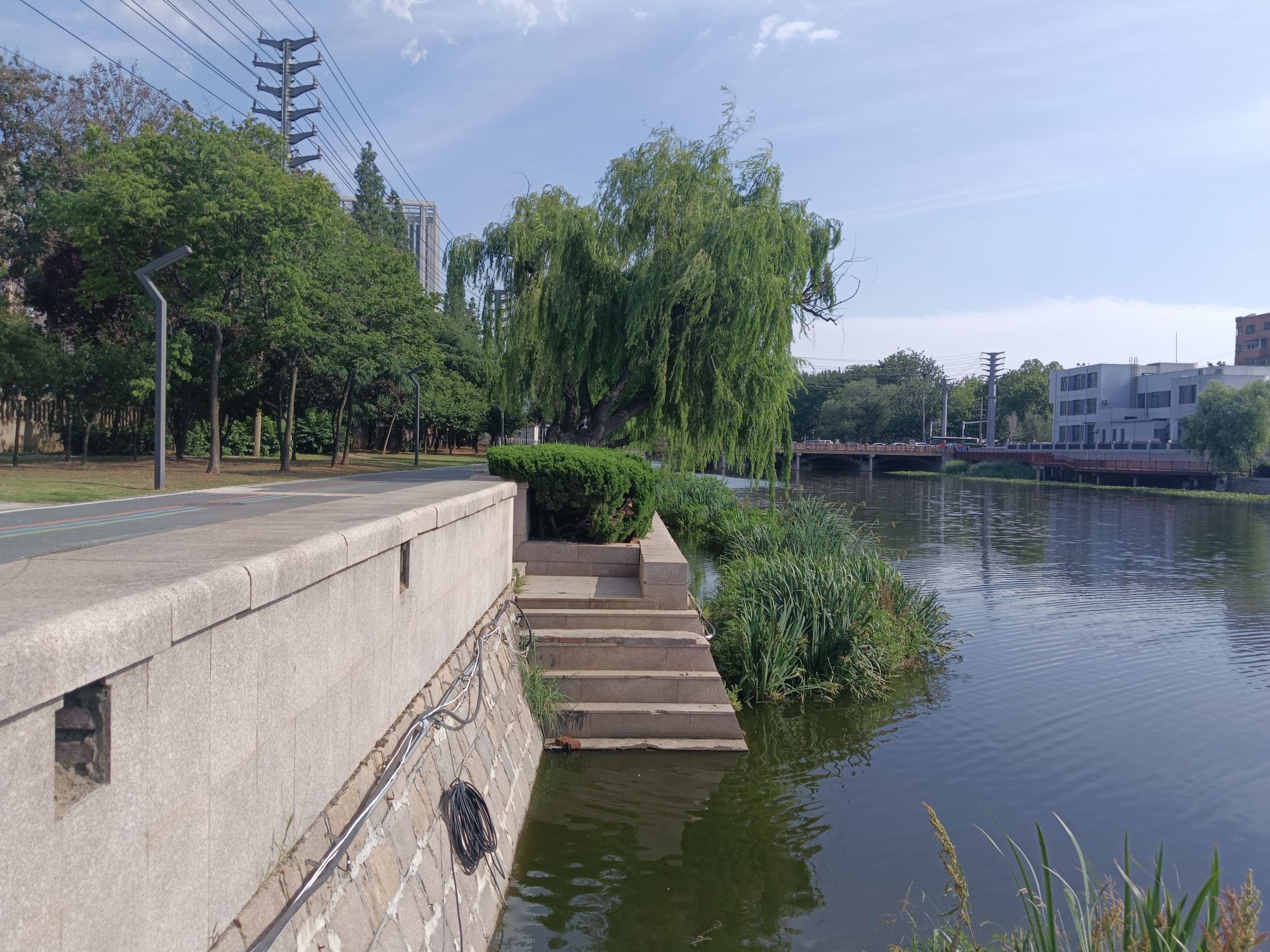 龙泉河公园旅行图片 3