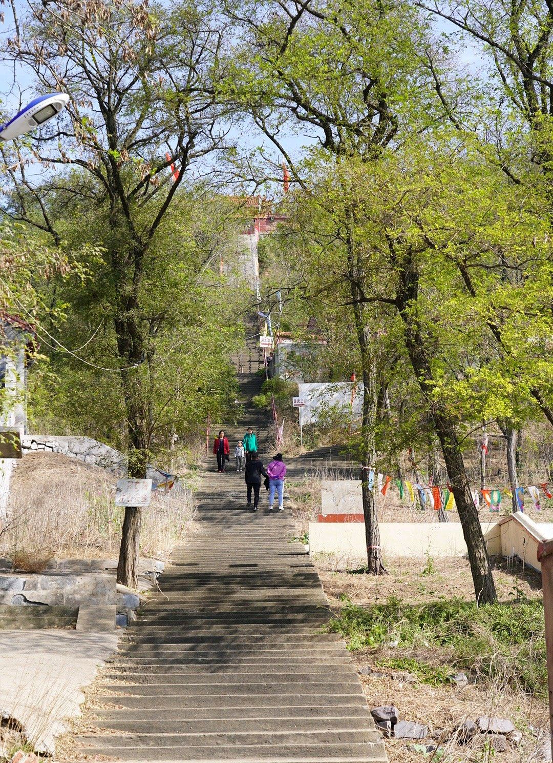 灵山旅行图片 3