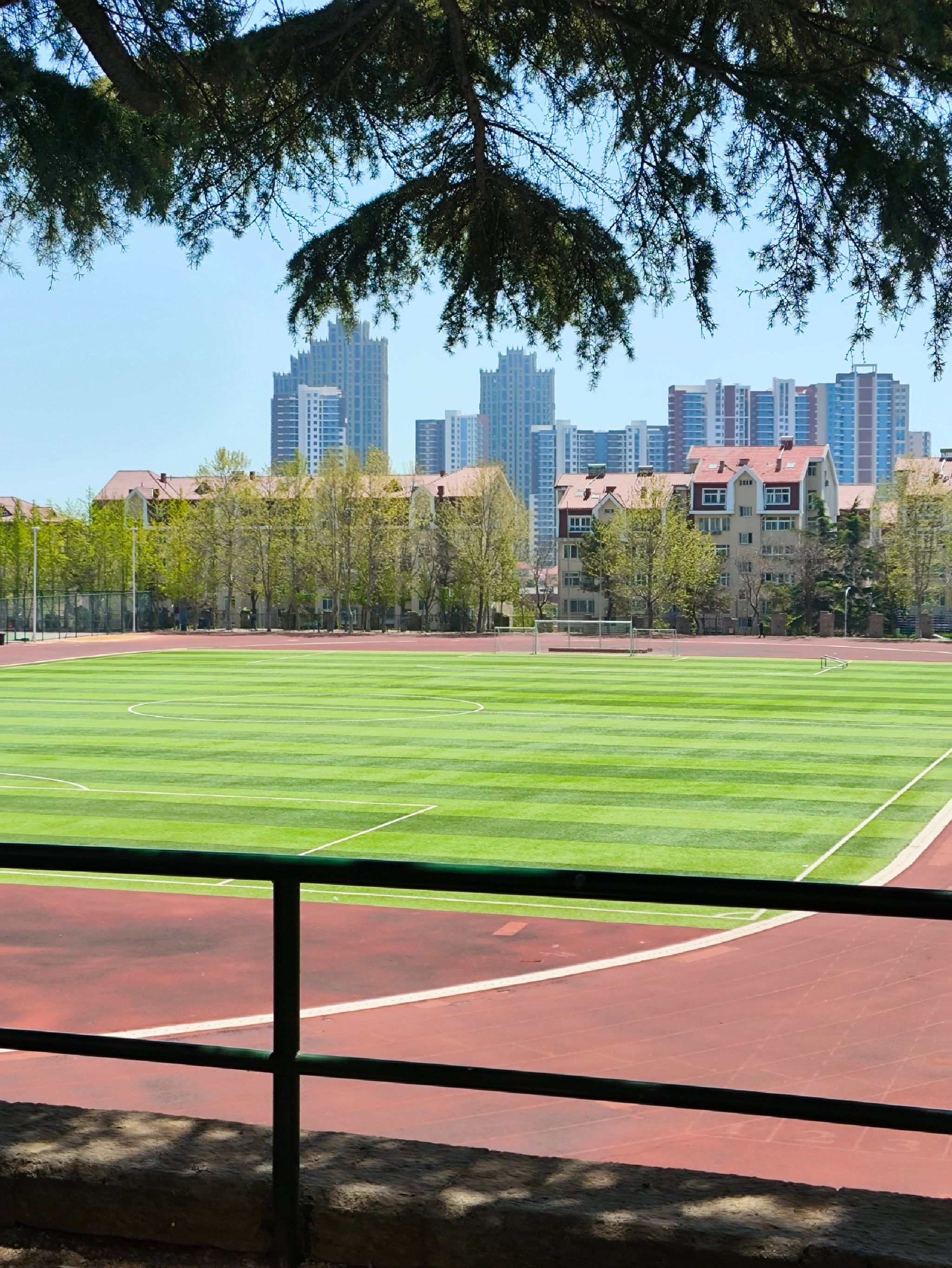 青岛大学(浮山校区)师范学院