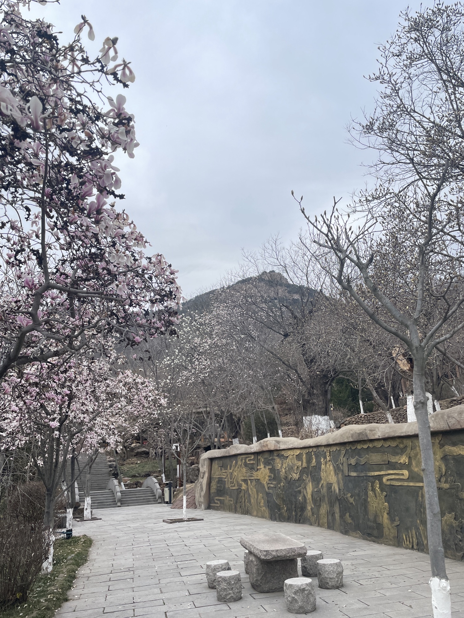 石老人观光园旅行图片 2