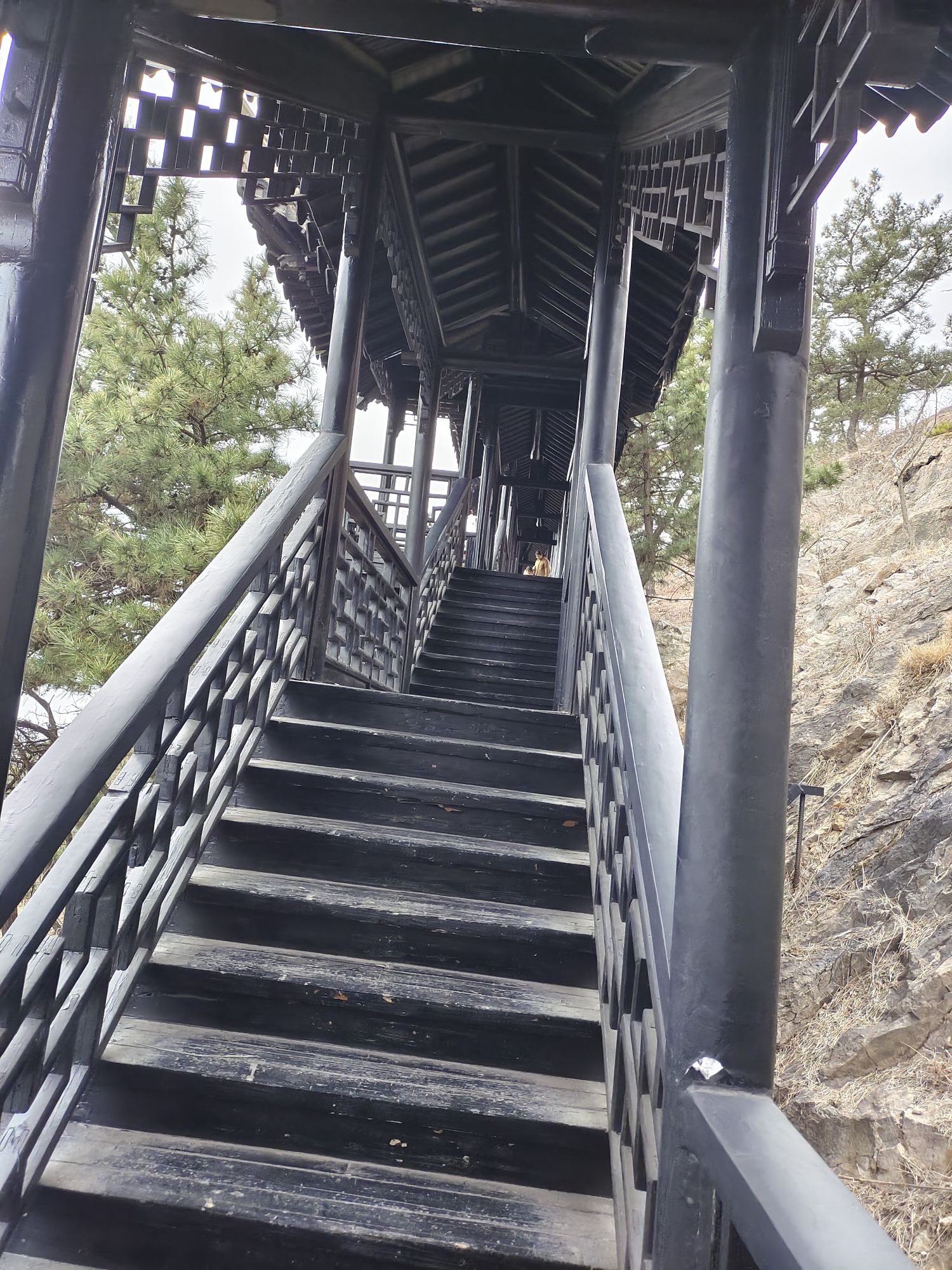 石老人观光园旅行图片 1