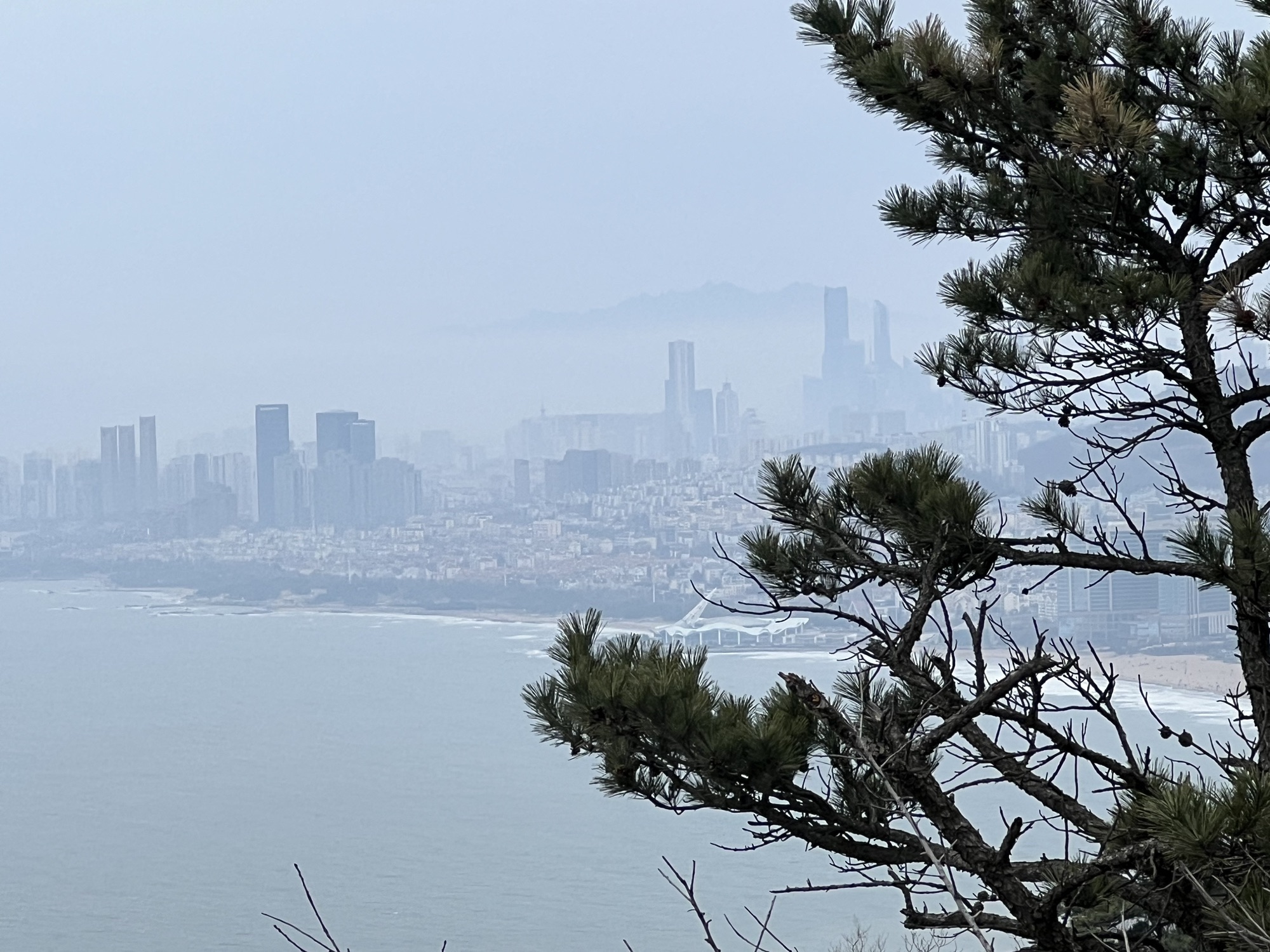 石老人观光园旅行图片 1