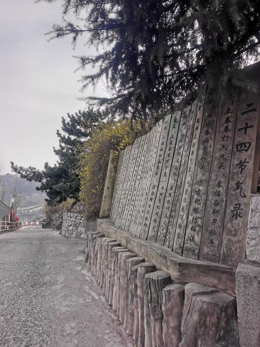 百果山森林公园旅行图片 3