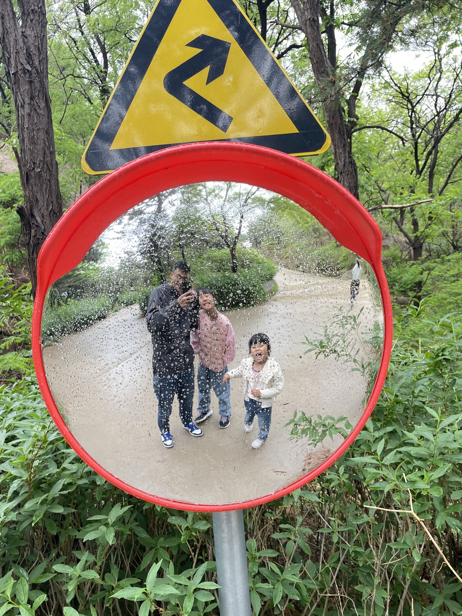 百果山森林公园旅行图片 2