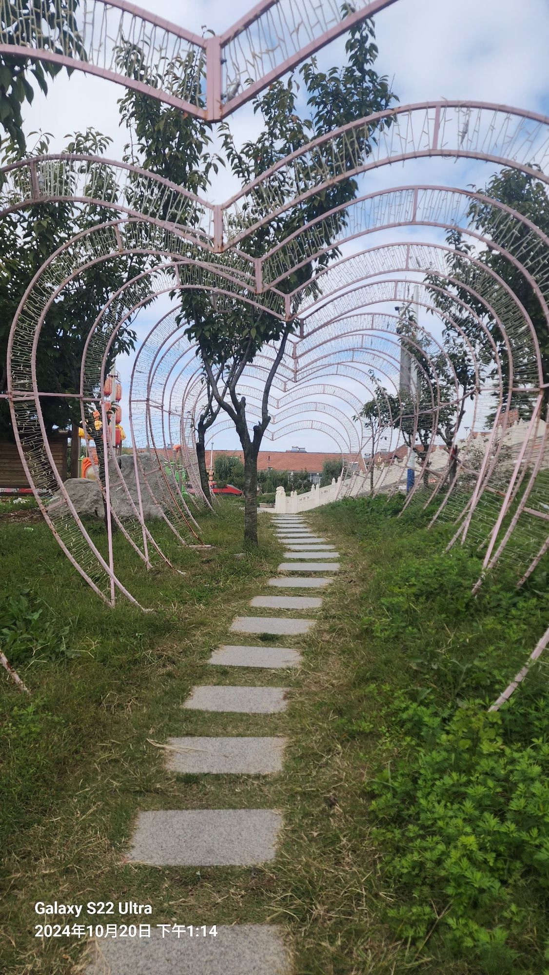 观海阁旅行图片 3