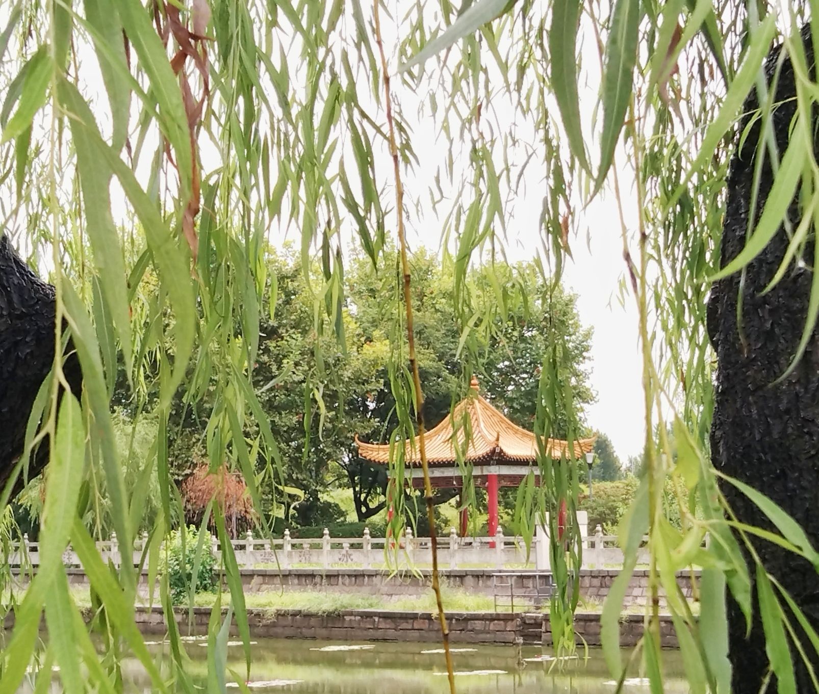 观海阁旅行图片 1
